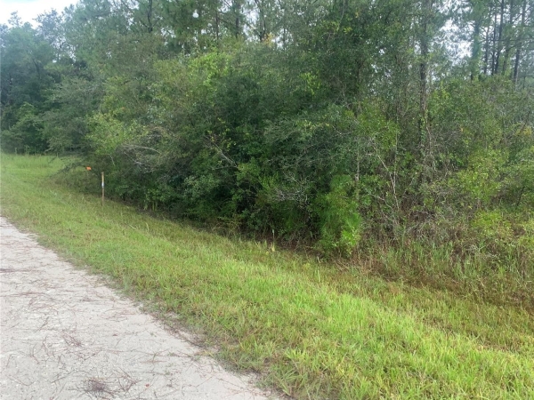 Listing Image #1 - Land for sale at Otter Drive, Webster FL 33597