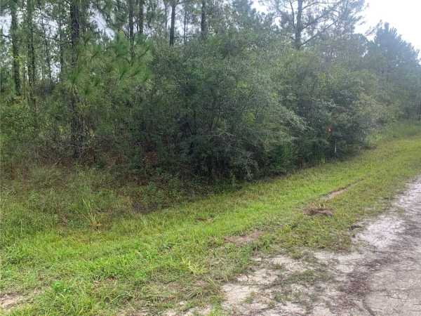 Listing Image #3 - Land for sale at Otter Drive, Webster FL 33597
