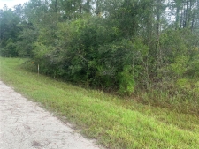 Listing Image #2 - Land for sale at Otter Drive, Webster FL 33597