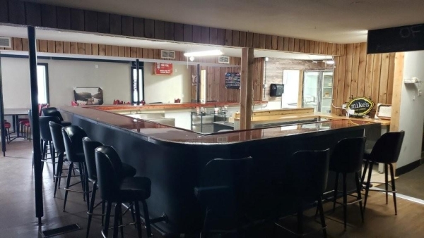 Listing Image #2 - Others for sale at 107 Main Street, Dent MN 56528