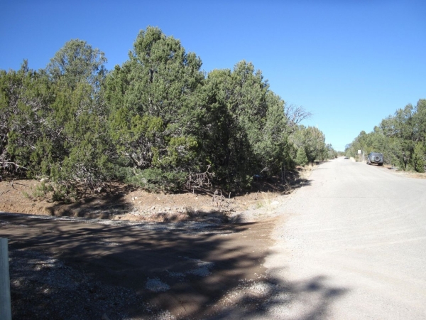 Listing Image #2 - Others for sale at 4 Juniper Court NE, Cedar Crest NM 87008