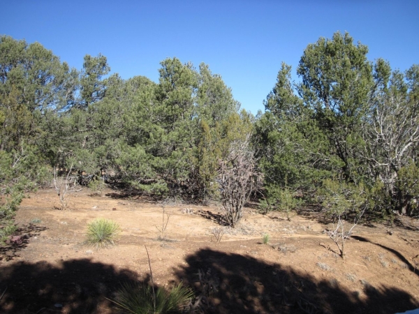 Listing Image #3 - Others for sale at 4 Juniper Court NE, Cedar Crest NM 87008