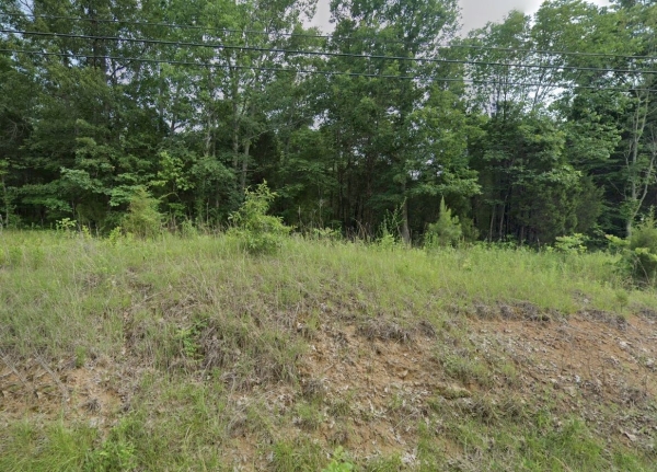 Listing Image #1 - Land for sale at 0 Blue Bird Rd, Falls of Rough KY 40119