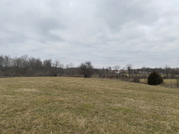 Listing Image #1 - Land for sale at 0 Concord Road, Nabb IN 47147