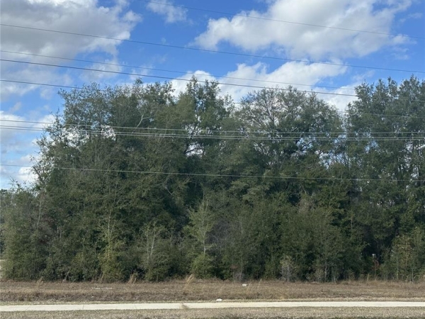 Listing Image #1 - Others for sale at 1276 State Road 20, Interlachen FL 32148