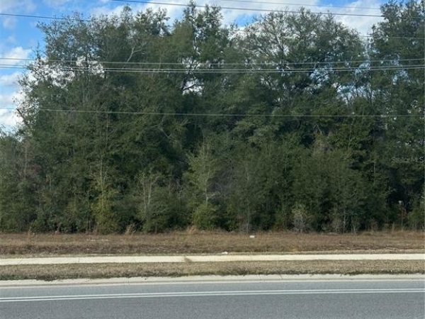 Listing Image #2 - Others for sale at 1276 State Road 20, Interlachen FL 32148