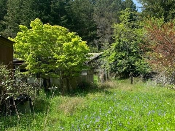 Listing Image #3 - Land for sale at 23501 Branscomb Road, Westport CA 95488