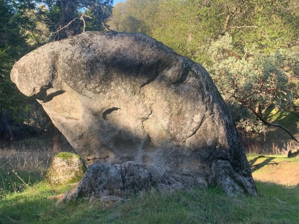 Listing Image #3 - Others for sale at 39516 John West Road, Oakhurst CA 93644