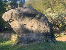 Listing Image #3 - Others for sale at 39516 John West Road, Oakhurst CA 93644