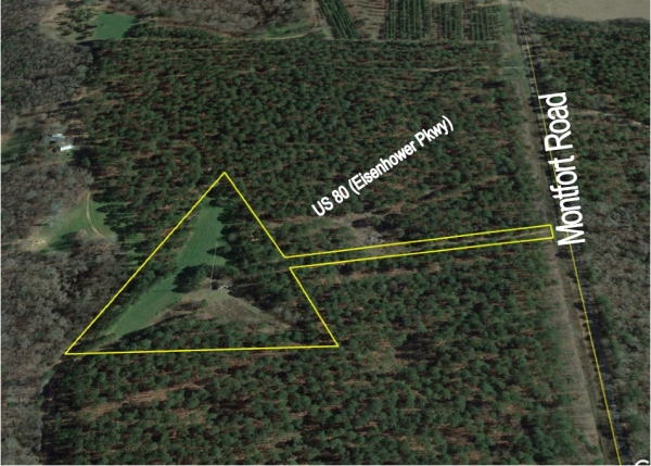 Listing Image #3 - Others for sale at Montfort Road, Butler GA 31006