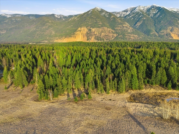 Listing Image #2 - Land for sale at 50 Wood Ridge Drive, Columbia Falls MT 59912