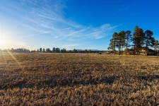 Listing Image #3 - Land for sale at 49 Capstone 25, Pagosa Sp CO 81147