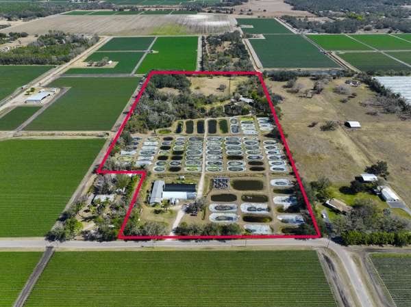 Listing Image #1 - Others for sale at 20112 Hobbs Rd, Wimauma FL 33598