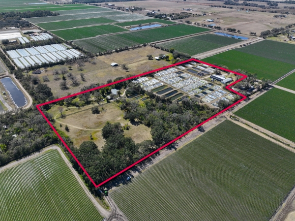 Listing Image #2 - Others for sale at 20112 Hobbs Rd, Wimauma FL 33598