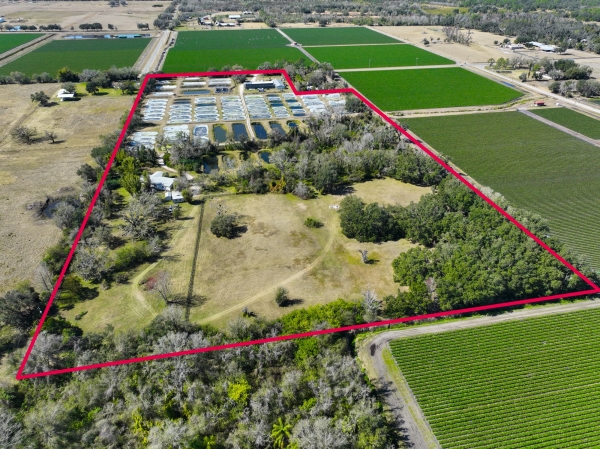 Listing Image #3 - Others for sale at 20112 Hobbs Rd, Wimauma FL 33598