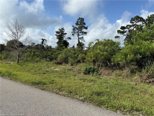 Listing Image #2 - Others for sale at 1177 Columbus Street, Lake Placid FL 33852