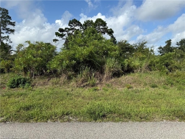 Listing Image #3 - Others for sale at 1177 Columbus Street, Lake Placid FL 33852