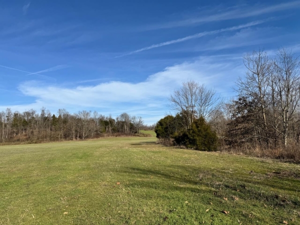 Listing Image #3 - Land for sale at 1050 Stiles Ford Road, Hodgenville KY 42748 Listing Image #3 - Land for sale at 1050 Stiles Ford Road, Hodgenville KY 42748