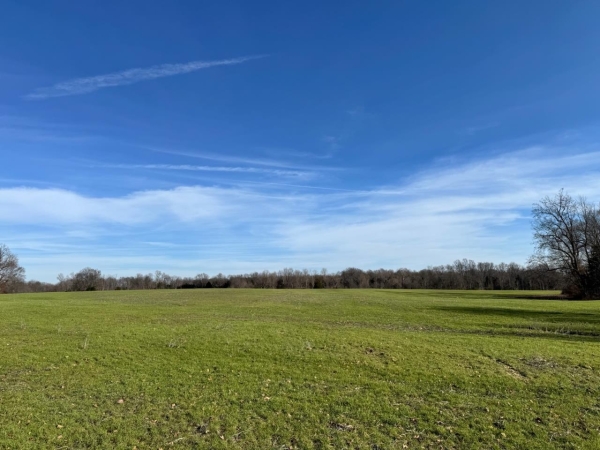 Listing Image #4 - Land for sale at 1050 Stiles Ford Road, Hodgenville KY 42748 Listing Image #4 - Land for sale at 1050 Stiles Ford Road, Hodgenville KY 42748