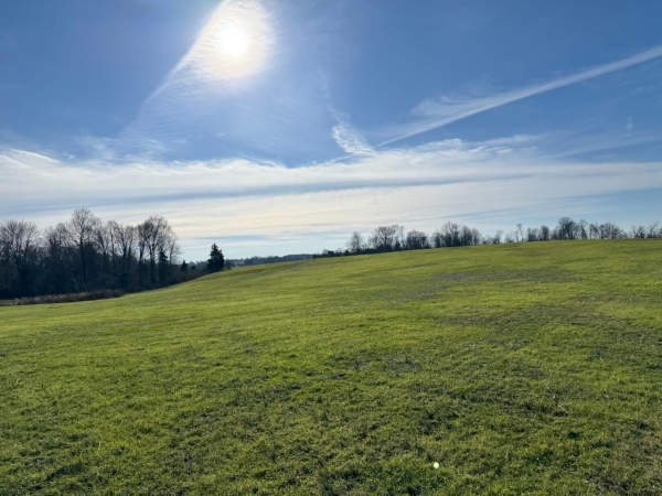 Listing Image #5 - Land for sale at 1050 Stiles Ford Road, Hodgenville KY 42748 Listing Image #5 - Land for sale at 1050 Stiles Ford Road, Hodgenville KY 42748