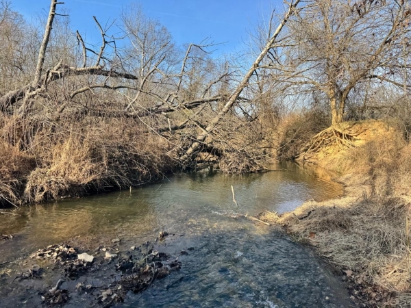 Listing Image #7 - Land for sale at 1050 Stiles Ford Road, Hodgenville KY 42748 Listing Image #7 - Land for sale at 1050 Stiles Ford Road, Hodgenville KY 42748
