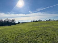 Listing Image #5 - Land for sale at 1050 Stiles Ford Road, Hodgenville KY 42748