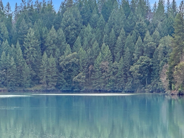 Listing Image #1 - Land for sale at 17871 Rollins View Drive, Grass Valley CA 95945