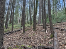 Listing Image #2 - Land for sale at 17871 Rollins View Drive, Grass Valley CA 95945