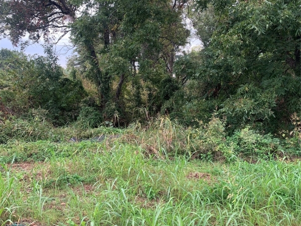 Listing Image #1 - Land for sale at 204 E Osage Avenue, Nowata OK 74048