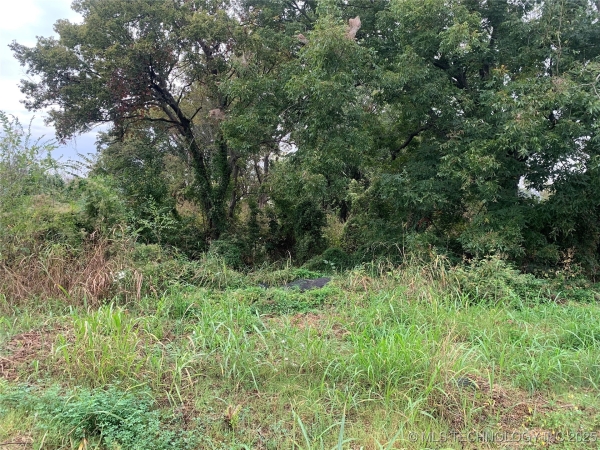 Listing Image #3 - Land for sale at 204 E Osage Avenue, Nowata OK 74048