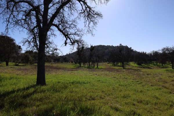 Listing Image #3 - Others for sale at 10 Douglas Road S, Coarsegold CA 93614