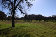 Listing Image #3 - Others for sale at 10 Douglas Road S, Coarsegold CA 93614