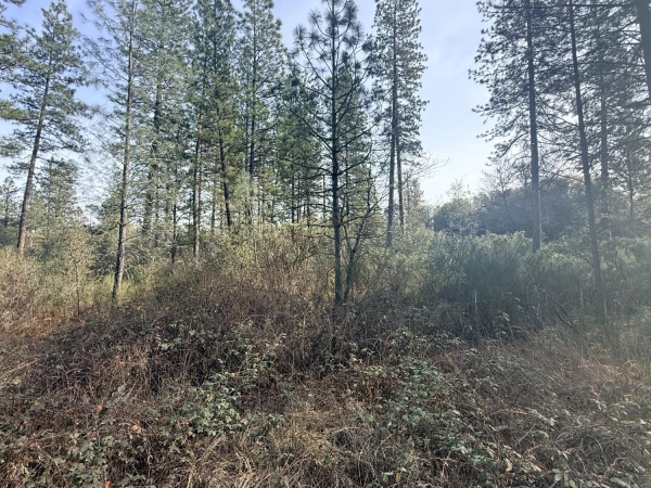 Listing Image #2 - Land for sale at 10986 Tyler Foote Crossing Road, Nevada City CA 95959