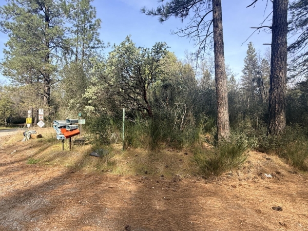 Listing Image #3 - Land for sale at 10986 Tyler Foote Crossing Road, Nevada City CA 95959
