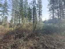 Listing Image #2 - Land for sale at 10986 Tyler Foote Crossing Road, Nevada City CA 95959