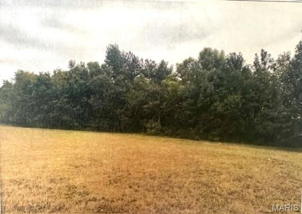 Listing Image #2 - Land for sale at 2093 E County Highway 450, Sikeston MO 63801