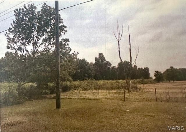 Listing Image #3 - Land for sale at 2093 E County Highway 450, Sikeston MO 63801