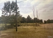 Listing Image #3 - Land for sale at 2093 E County Highway 450, Sikeston MO 63801