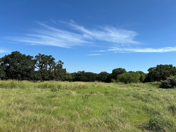 Listing Image #1 - Land for sale at 6088 US Highway 380, Bridgeport TX 76426