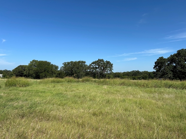 Listing Image #2 - Land for sale at 6088 US Highway 380, Bridgeport TX 76426