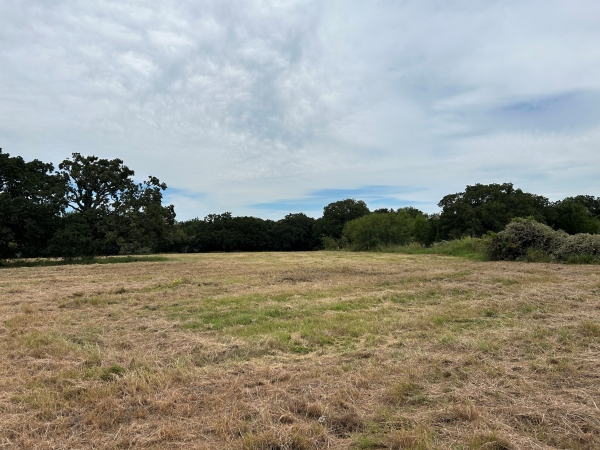 Listing Image #3 - Land for sale at 6088 US Highway 380, Bridgeport TX 76426