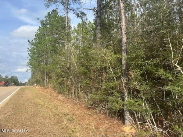 Listing Image #3 - Land for sale at S Carr Bridge Road, Biloxi MS 39532 Listing Image #3 - Land for sale at S Carr Bridge Road, Biloxi MS 39532