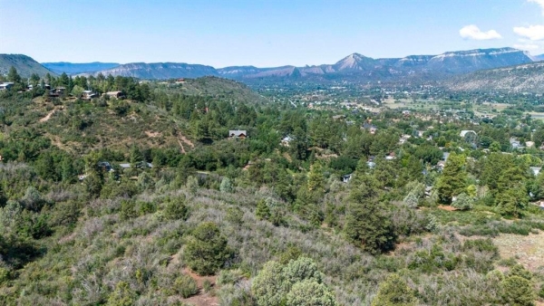 Listing Image #3 - Land for sale at TBD Scout Ridge Road, Durango CO 81301