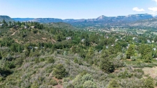 Listing Image #3 - Land for sale at TBD Scout Ridge Road, Durango CO 81301