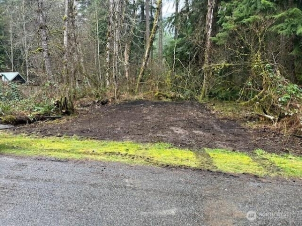 Listing Image #1 - Land for sale at 31319 555TH STREET E, ASHFORD WA 98304
