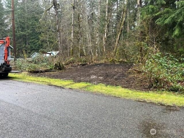 Listing Image #2 - Land for sale at 31319 555TH STREET E, ASHFORD WA 98304
