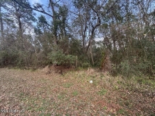 Listing Image #3 - Land for sale at 624 Old Spanish Trail, Gautier MS 39553