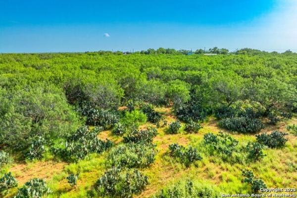 Listing Image #2 - Others for sale at 3911 County Road 1000, Pearsall TX 78061