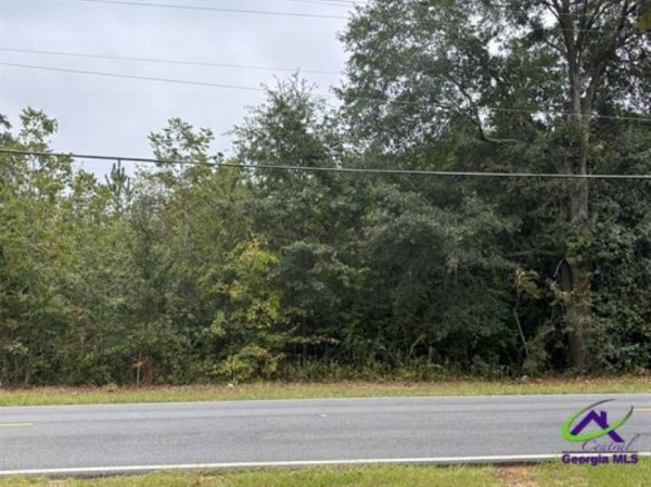 Listing Image #2 - Land for sale at Lot 7 & 8 Taylors Mill Road, Fort Valley GA 31030