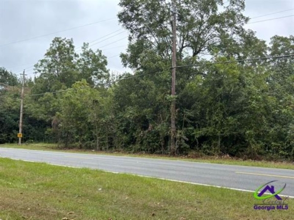 Listing Image #3 - Land for sale at Lot 7 & 8 Taylors Mill Road, Fort Valley GA 31030